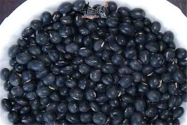 黑豆的营养成分大盘点