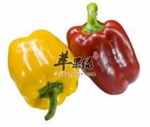 柿子椒和青椒的区别