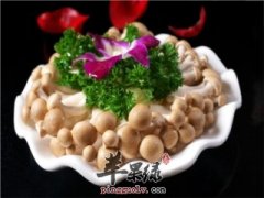 蟹味菇的挑选和存储