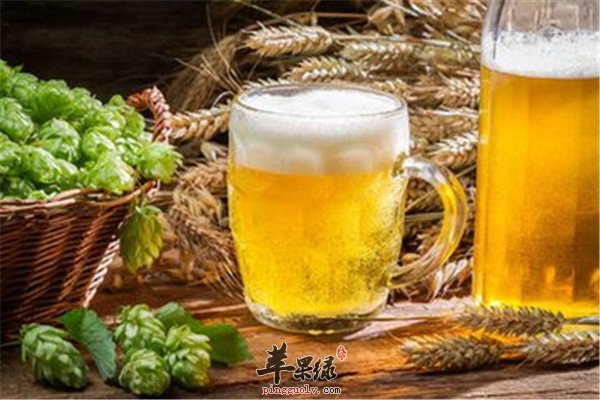 啤酒洗脸原来还有这些好处