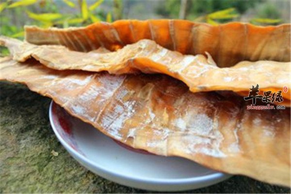 明笋是什么 怎么吃最好