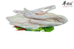 感冒了能不能吃鹅肉