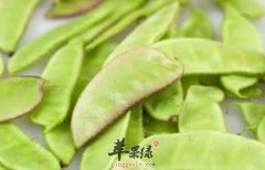 扁豆的适宜人群 吃扁