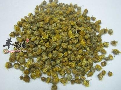 苹果绿 中药大全 功效与作用野菊花茶除了直接用沸水泡饮之外,还可以