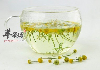 甘菊茶的保存方法是什么呢