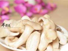 平菇的功效 平菇挑选