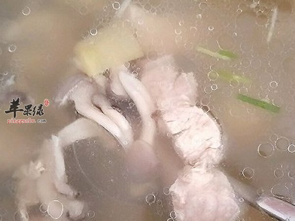 平菇的营养价值 作用 选购及储存