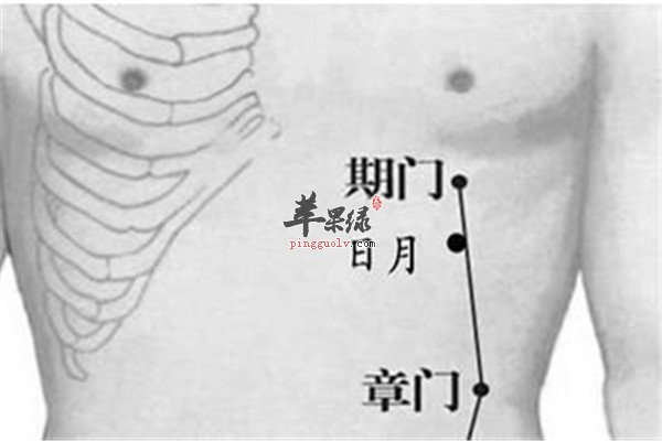 日月穴的功效以及配伍方式