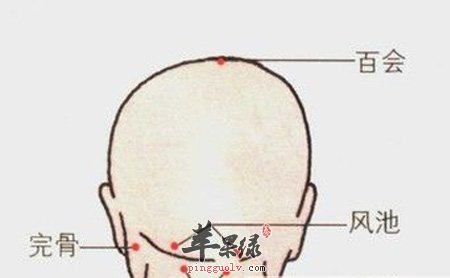 完骨穴疼痛的原因 教你认识完骨穴