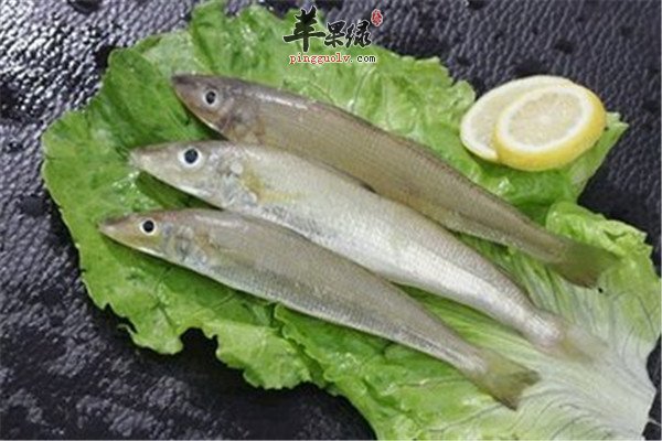 沙尖鱼是什么鱼 有什么样的好处