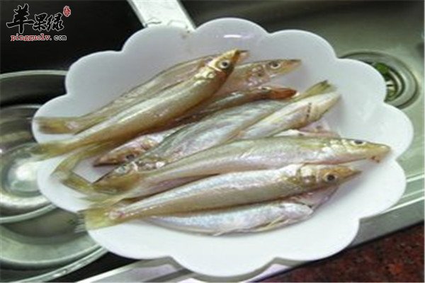沙尖鱼的养生功效和制作方法