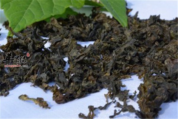 地皮菜营养价值大盘点