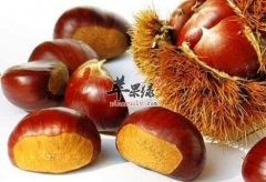 栗子壳不好剥 这样煮