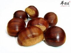 老年人吃栗子好吗 食