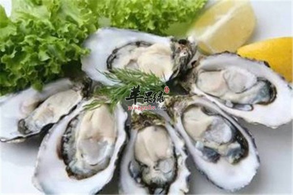 盘点海蛎子的功效和作用
