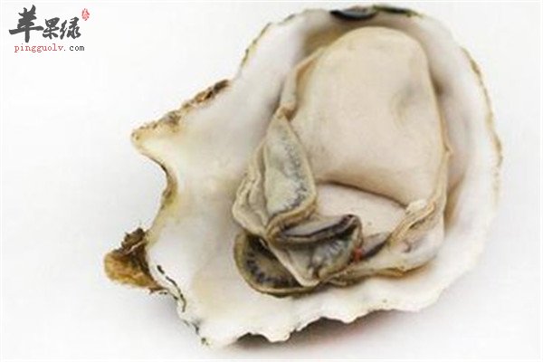 盘点海蛎子的功效和作用