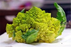 宝塔菜的营养以及用