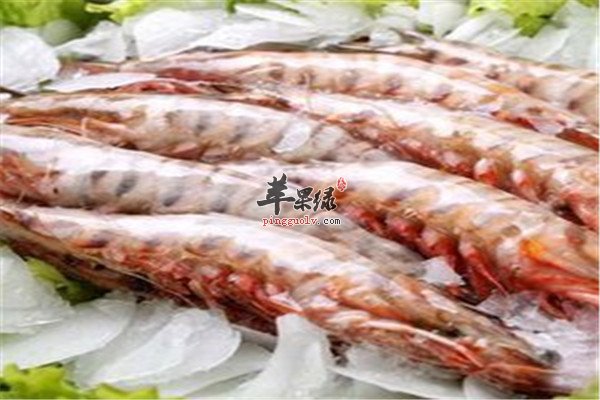明虾的好处以及食用方法