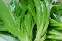 莴笋叶营养丰富 美容