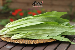 莴笋叶属凉性食材能