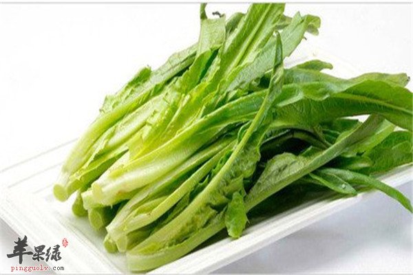 油麦菜3.jpg