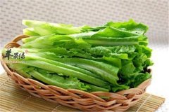 油麦菜和莴笋有什么