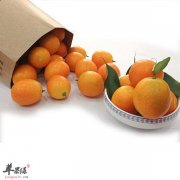 金桔的一些食用注意