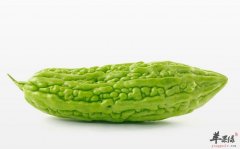 苦瓜的食用营养价值