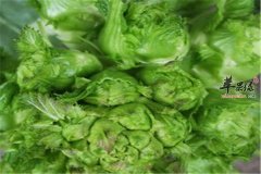 儿菜又叫大头菜 这些