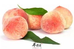 水蜜桃有哪些食用营