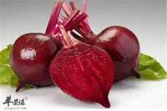 甜菜根的四大神奇功
