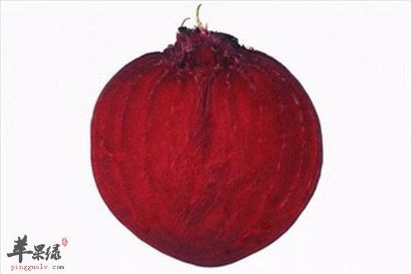 甜菜根11.jpg