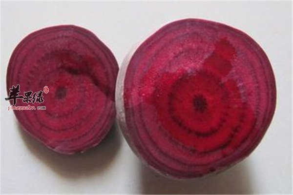 甜菜根9.jpg