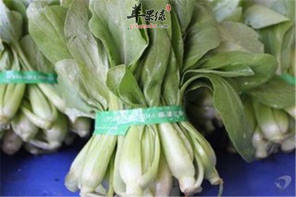 瓢儿菜是什么菜 有什么好处