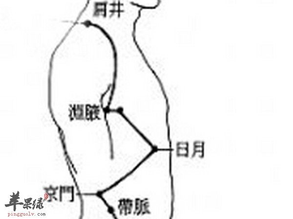 日月穴详细位置 日月穴的作用