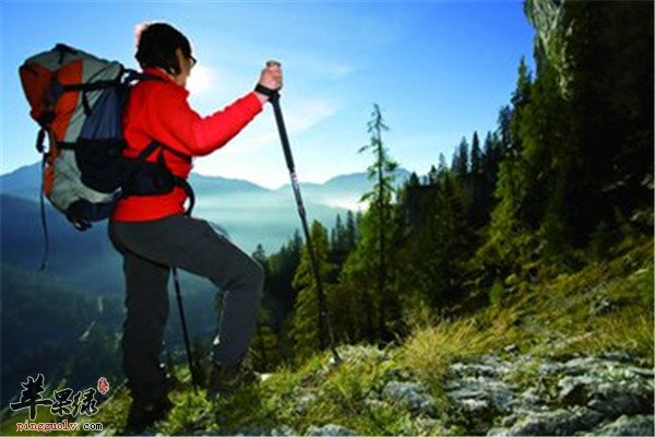 立秋后的养生之选 登山冷水浴