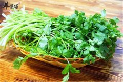 香菜怎么吃 告诉你四