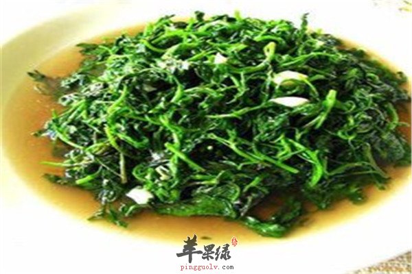 菊花菜是什么 应该怎么吃