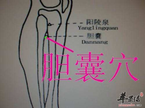 胆囊穴的具体位置 推荐按摩的好方法