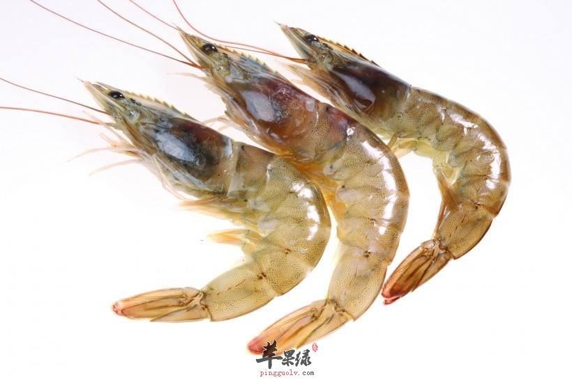 皮皮虾不能和什么一起食用呢