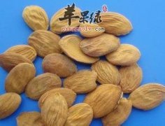 桃仁可以补肾吗 桃仁的功效有哪些