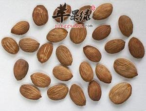 桃仁可以补肾吗 桃仁的功效有哪些