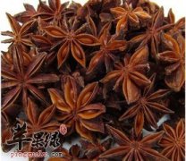 八角是什么 有什么样