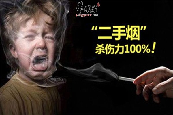 二手烟的危害 肺癌心血管疾病