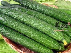 黄瓜搭配水果吃更减肥 这样吃效果好
