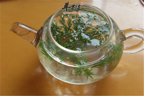 松针的功效以及治疗疾病方法