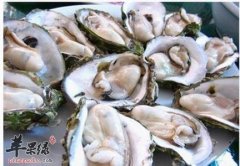牡蛎和生蚝是属于一