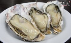 生活中哪些人适合食