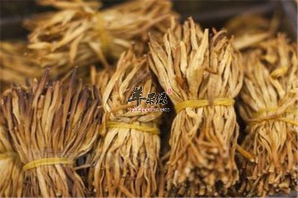 金针菜的营养价值以及适宜人群