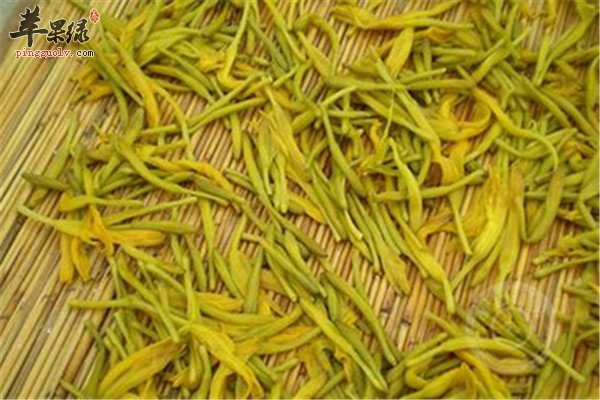 金针菜的制作技巧和食用功效